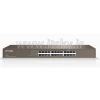 قیمت IPCOM F1024 24 Port UnManaged Rackmount switch 