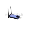 Linksys WUSB300N